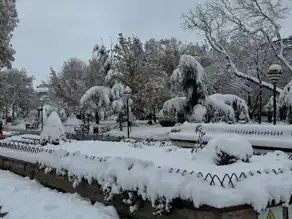 Şehirde Kar Keyfi ve Ulaşım Sorunları