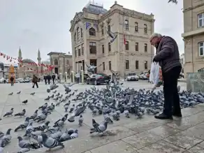 Kışın Soğunda Kuşlara Sıcak Bir El