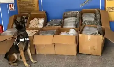 Aksaray'da Büyük Uyuşturucu Operasyonu: 110 Kilo Skunk