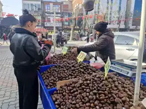 Kestane Satışları Kış Ayında Patladı!